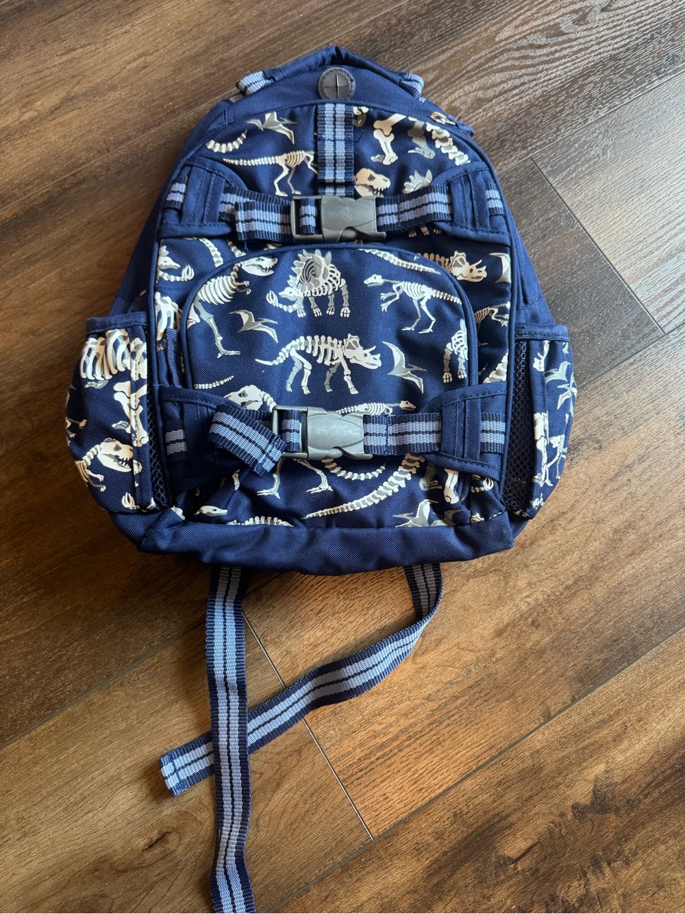Size small Pottery Barn Kids glow in the dark dinosaur bones backpack